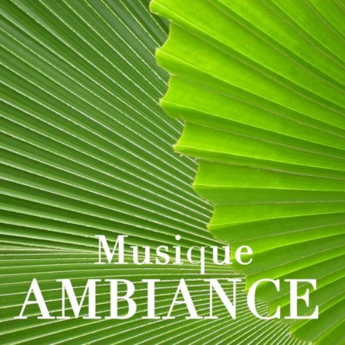 Relaxation, Musique sans Parole pour la Rélaxation de Musique Ambiance