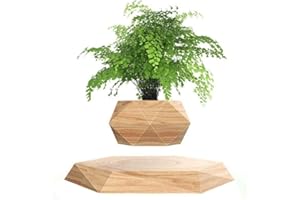 Kiko-ershaa Plante en Lévitation Plante Flottant Air Bonsaï Jardinière de Pot de Fleur de Suspension pour la décoration de Bureau