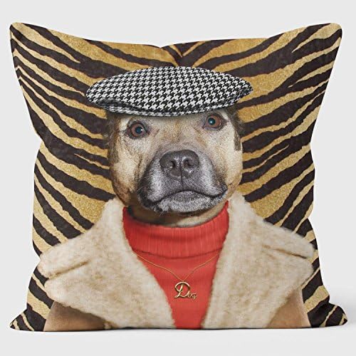 Pets Rock Dog Boy Cushion
