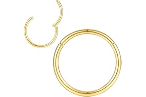 Popuhoops 316L Chirurgenstahl Scharnierende Nasenringe Reifen Suptum Ring Körper Piercing Lippenringe Helix Knorpel Rook Ohrringe 20G 18G 16G 14G 12G 10G 8G, Durchmesser 5mm bis 16mm, Gold-Roségold-Silber-Schwarz