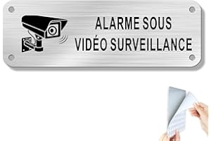 Goodvia Alarme Sous Vidéo Surveillance Adhésif Aluminium 150x50 mm pour L'intérieur et L'extérieur Argent/1 pièce