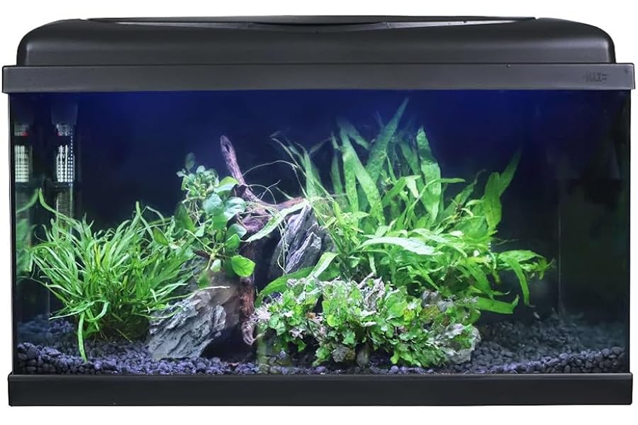 Swell Aquarium 60cm Tropical Freshwater LED Fish Tank Kit 54ltrs