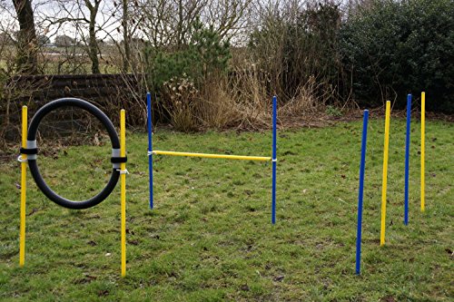 AGILITY-BEGINNER-SET-COLOR-BLUE-YELLOW-BLACK-AGILITY-STARTING-KIT