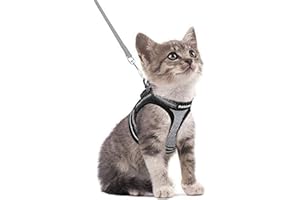 rabbitgoo Cat Harness and Leash Set for Walking Escape Proof, Adjustable Soft Kittens Vest with Reflective Strip for Extra Small Cats, Comfortable Choke-Proof Outdoor Vest Harness Grey, S