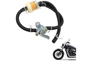 RAKIUTY Fuel Tank Tap Filter,6mm Universal Gas Inline Fuel Filters