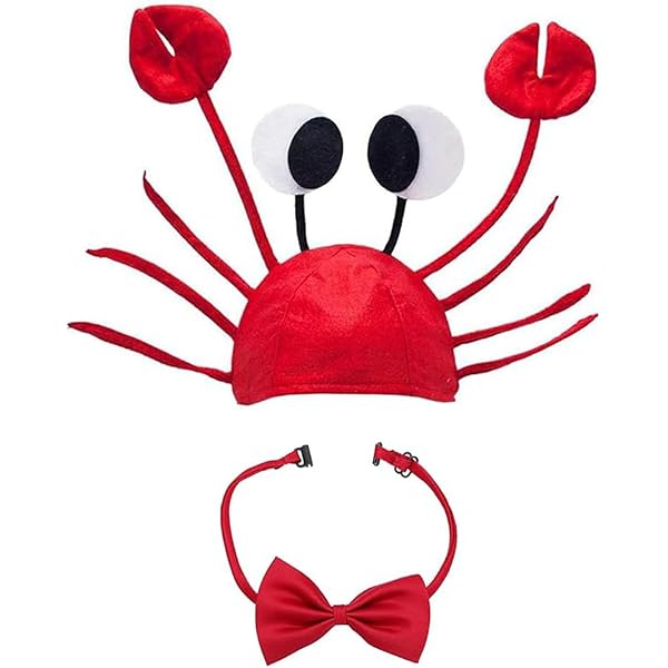 Healifty Lot de 2 bandeaux de requin pour costume de requin - Chapeau de fête - Chapeau amusant - Chapeau d'Halloween - Fournitures de fête