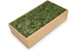 NaDeco Islandmoos in Natur und 30 weiteren Farben zur Auswahl | Deko-Moos | Rentier-Moos | Reendier Moos | Bastel-Moos | Dekomoos | Moos-Deko