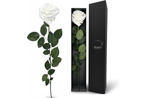 LA ROSEE ETERNELLE Rosa Eterna Perfumada 48 cm – Flor Natural Preservada de Ecuador – Regalo Romántico para Mujer : Cumpleaños, San Valentín, Boda o Día de la Madre – Color : White Angel