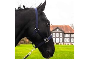 Pferdelinis Cavezza per sangue caldo, purosangue, sangue freddo, pony – cavezza per stalla, cavezza per pascoli, fibbie regolabili in 2 posizioni, sicure e antistrappo (blu, purosangue (Cob)