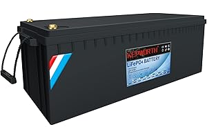 DEESPAEK Akumulatory głębokiej pracy cyklicznej LiFePO4 z 100 Ah 48 V , kumulatory litowe głębokiego rozładowania, idealny do łodzi, obozowicz, do trollingu, kosiarki, Energetyka słoneczna i wiatrowa (48V 100Ah)