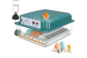 CoInceptus Incubatrice per Uova Automatica, Incubatrice per 24-36 Uova con Rotazione Automatica delle Uova e Aggiunta Automatica dell'acqua, Incubatrice con 4 Modalità di Incubazione Automatiche