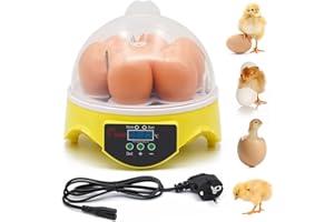 BREUAILY 7 Eier Inkubator Geflügel Brutkasten mit Digital LED Display and Automatischer Temperaturregelung Brutmaschine für Hühner Ente Wachtel Reptilien Schildkröten