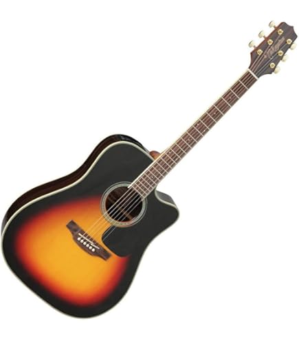 Takamine GN75CE WR - Wine Red Elektro Akustik Gitar : Amazon.com