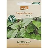 Bingenheimer Saatgut - Klettersalat Malabar Spinat - 1 Tüte