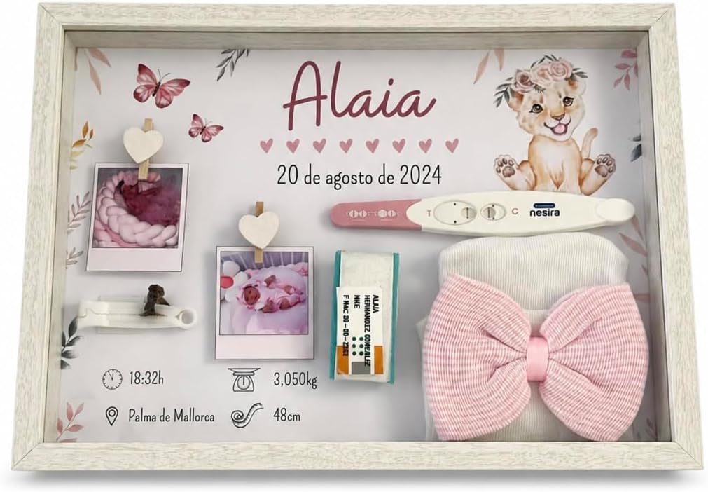 Vue 12