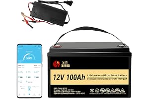 SaiJiaoYang 12V 100Ah LifePO4 med Bluetooth och 10A laddare, Litiumbatteri med 100A BMS Djupcykel Klass A LiFePO4-batteri med