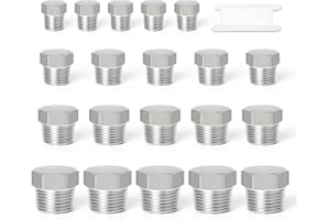TAISHER 20PCS Stainless Steel Outer Hex Thread Socket Pipe Plug Fitting 1/8" 1/4" 3/8" 1/2" BSP Male