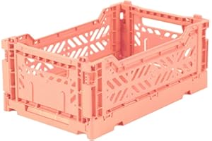 AYKASA Ay-Kasa Klappkiste, stabile Faltkiste aus Kunststoff, stapelbar, Salmon, Mini (27x17x11cm)
