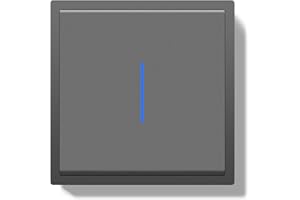 BSEED Włącznik światła podtynkowy z zaciskiem wtykowym, 1-drożny włącznik światła z lampką kontrolną LED, nowoczesny przełącznik ścienny z ramą PC, podtynkowy, szary, 80 x 80 mm