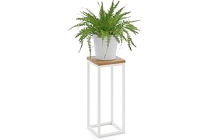 LAMO Manufaktur 50 cm Support Plantes | Piédéstal pour Plantes | Porte-plantes Interieur Cadre Blanc Gris | Plateau 100% Bois Massif Couleur: Rustique