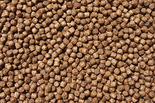 Wachstumsfutter für Koi, Aufzucht – Koifutter Tomodachi High Growth professionelles Wachstumsfutter, Schwimmfutter für junge, aktive Koi 5kg, 6mm Koipellets - 3