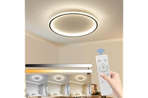MIKERU Modern Round Ceiling Light, Brightness Dimmable & 3 Color Temperature Available Bathroom Lighting, 5cm Thick & 40cm Dia Ceiling Flush Mount Light for Living Room, Study Room, Bedroom,Kitchen