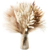 185 Pièces Pampa Séchées Naturelle Décoration Fleurs Séchées Bouquet Séché Décor d'Herbe de Pampa Plantes Décoratives en Herb