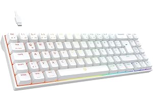 DREVO Calibur V2 TE RGB 60% Wired Mechanical Gaming Keyboard, 72 tasti Small Compact, Compatibile con PC/Mac, USB staccabile Type-C, layout DE Outemu Blue Switch, bianco