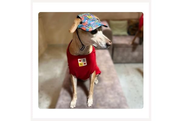 A+a Pets' Stylish Baseball Cap for Dogs & Cats Adjustable Toggle Printed Waterproof for Everyday, Summer, and Rainy Days (S)