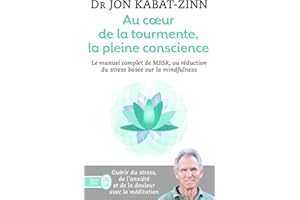 Au coeur de la tourmente, la pleine conscience: MBSR, la réduction du stress basée sur la mindfulness : programme complet en 8 semaines