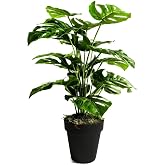 Nettenevime Artificial Tree Salon Plant Monstera 70 cm 18 Leaf Anthracite Potted