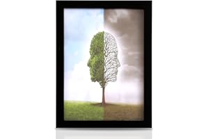 Zemiu Premium A4 Picture Frame, Photo Frame in Size 29.7x 21 cm Use for Certificate/Wall Gallery/Photo Picture, with Clear Perspex Sheet & Wall Mounted Hook -Black