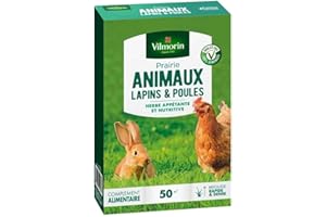 Vilmorin 4461312 Prairie Animaux Lapins et Poules, Vert, 5.80 x 14.5 x 22 cm