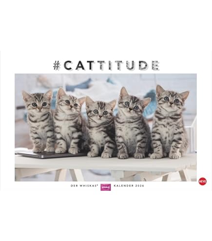 Calendrier De L'avent - Boulangeries Ange France