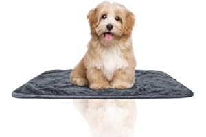 NeuWook Couvertures pour Chiens Imperméable Tapis, Couvertures en Peluche Douces Tapis, Tapis Chat, Entretien Facile à la Machine, Gris (80 X 100cm)