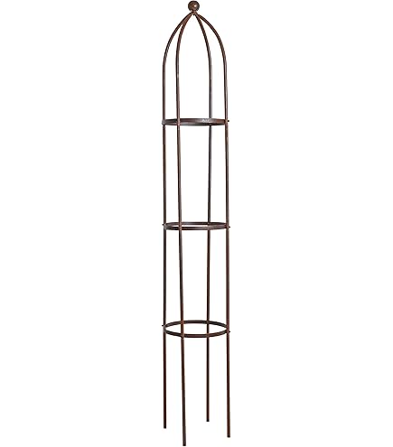 TTL Garden Obelisk Rankhulp XL 195 x 40 cm bruin, set van 2 - rozen klimrooster metaal roestvrij voor klimplanten rozen clematis - gepoedercoat staal 195 cm hoog 40 cm ranktoren