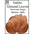 AM Royal Enterprises Indian Almond Leaves - 10 Leaves Aquarium Fish Food Natural Dried Leaves For All Life Stages