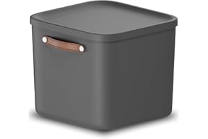 Rotho Maloja Aufbewahrungsbox 40 l, Kunststoff, anthrazit, 40 (39.5 x 38.0 x 34.0 cm)