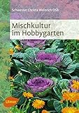 Image de Mischkultur im Hobbygarten