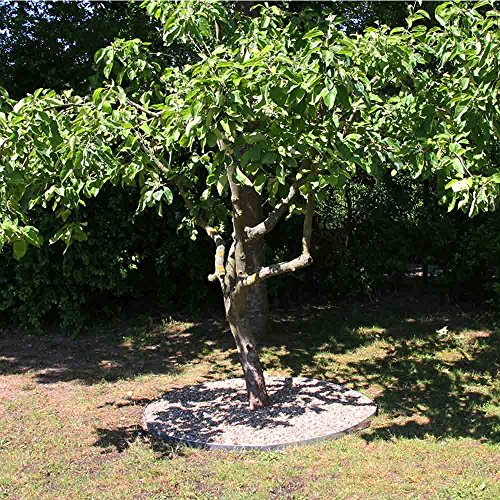 10 Meter NTA Rasenkante Beeteinfassung Beetumrandung schmal 140/1000 Mähkante Metall - 3