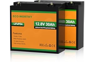ECO-WORTHY 2-Pack 30AH LiFePO4 Leisure Battery with 4000-15000 Cycles & BMS Protection,Ideal for Trolling Motors, Wheelchairs, Scooters,RV