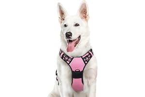 Eagloo Pettorina Cane Taglia Grande, Pettorina ad h, Pettorina Antifuga Cane, Pettorina Anti Tiro per Cani con Doppio Gancio, Imbracatura Robusto e Regolabile per Addestramento Passeggiate, XL, Rosa