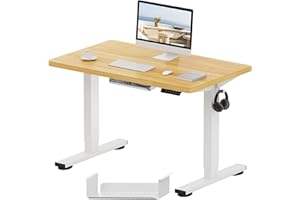FLEXISPOT E1 Plus ONE PIECE Electric Standing Desk Height Adjustable Sit Stand Desk with Memory Smart Panel for Home Office, 100 * 60cm, White Frame+Maple Desktop