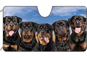 BAGEYOU Car Front Windshield Sunshade Cute Rottweiler Dogs Decor Vehicle Sun Shade Visor UV Ray Reflector Sun Protector, Keep Vehicle Cool, 51" x 26.8"