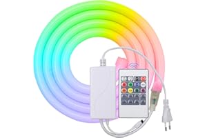 HEGEHE Striscia al neon a tubo tondo RGB 220V, flessibile impermeabile IP65, striscia LED con illuminazione a 360 gradi + controller, adatta per decorazioni fai da te per interni ed esterni (2M)