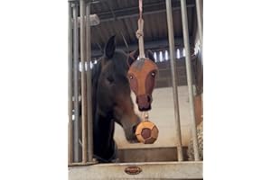 Ruggles Horse Stable Toy | Boredom buster for horse pony donkey (Horse Head)