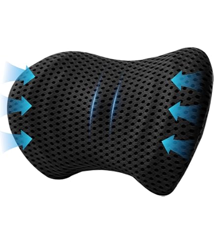 Coussin Lombaire Ergonomique En Mousse à Mémoire De Forme - Soulagez Vos Douleurs De Dos Au Bureau, En Voiture Ou à La Maison (Bleu)