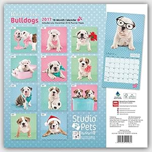 Bullish for Bulldogs - Bulldoggen 2017 - 18-Monatskalender: Original Myrna-Kalender [Mehrsprachig] [Kalender]