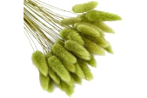 Herbe de queue de lapin séchée 50 pièces,URMAGIC 45cm Lagurus Ovatus séché naturel, arrangements de fleurs d'herbe de pampa, bouquet de fleurs de mariage, fleurs séchées de queue de lapin