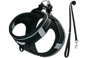 UVTQSSP Hundegeschirr Kleine Hunde Schwarz Gepolstert, Welpengeschirr, Dog Harness Geschirr Hunde Klein XS